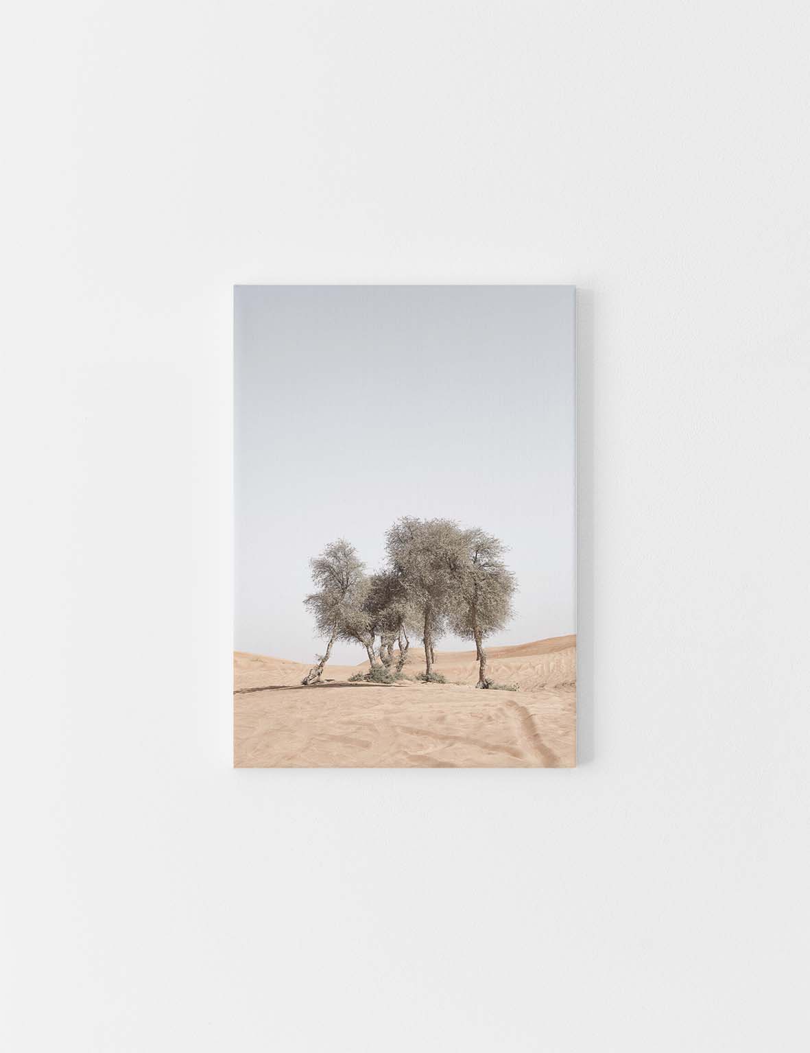 CANVAS | Desert Trees #1