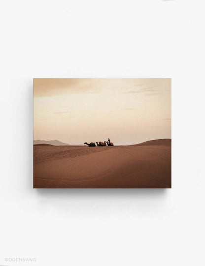 CANVAS | Sahara Desert Camels | Morocco 2021