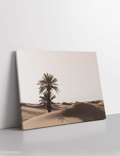 CANVAS | Sahara Desert Tree | Morocco 2021