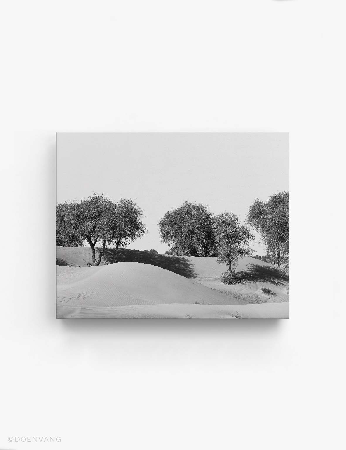 CANVAS | Desert Trees #3 | UAE 2021