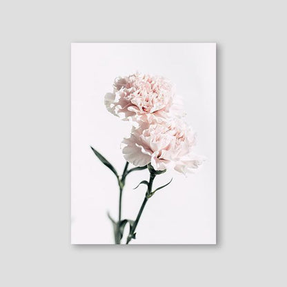 Pink Carnations #3 - Doenvang